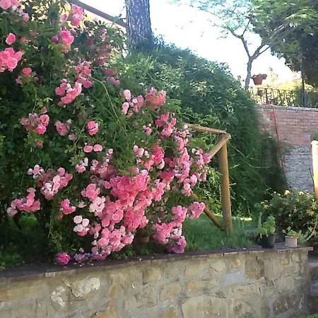 Di * Giomici
